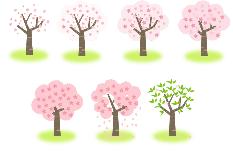 フリーイラスト 7種類のサクラの木のセットでアハ体験 Gahag 著作権フリー写真 イラスト素材集
