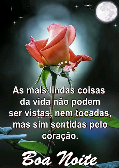 Frases buque de carinho boa noite