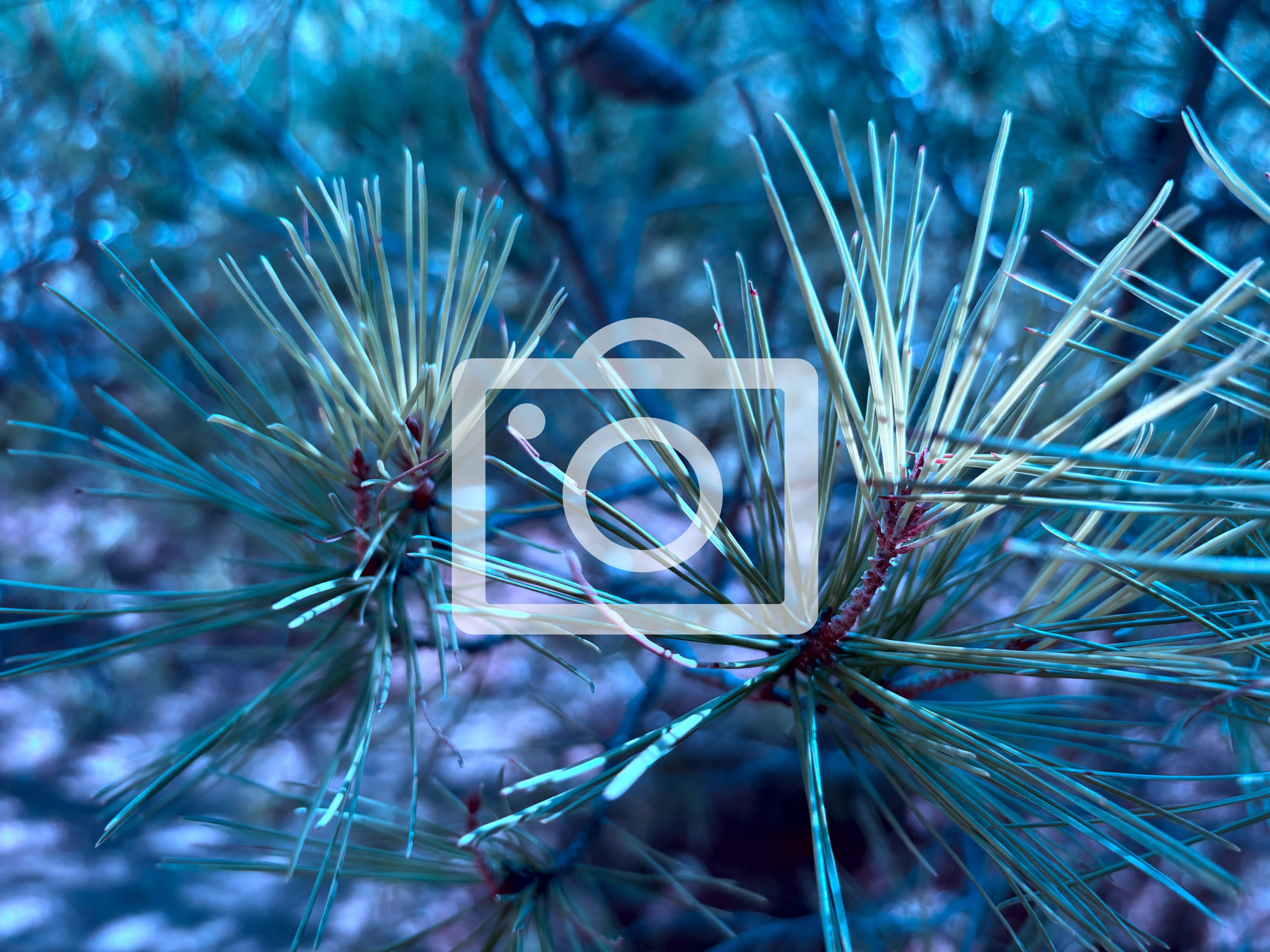 Una persona monta en el AVE en Barcelona, con detino a Madrid. REUTERS/Albert Gea