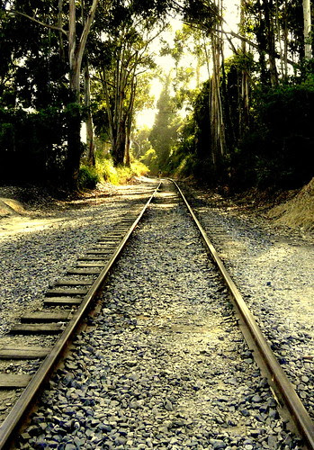 Tracking Trains