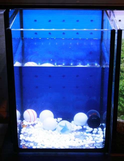 水槽用バックスクリーンをキレイに貼る方法 熱帯魚 アクアリウム情報マガジン