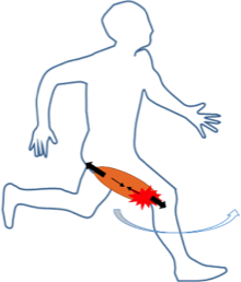 Rikupedia 陸上競技の理論と実際
