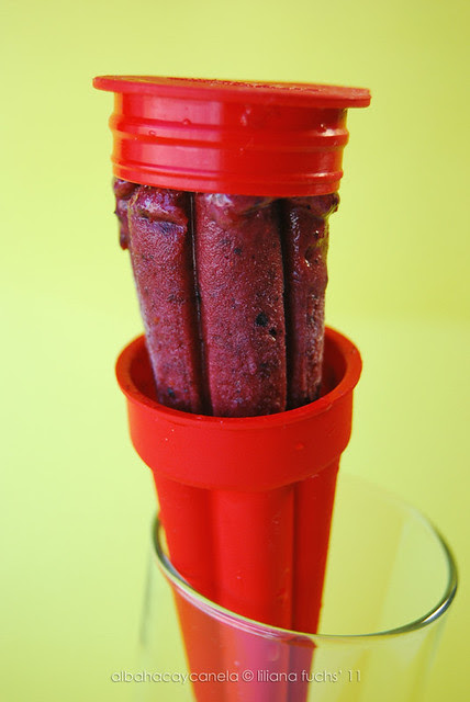 Frutti di Bosco Popsicle