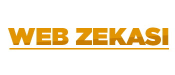 Web Zekası