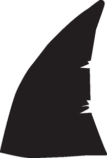 Free Free 196 Shark Fin In Water Svg SVG PNG EPS DXF File