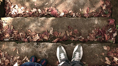 step(s)