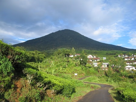 dempo