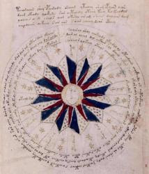 voynich-schaefer-big.jpg