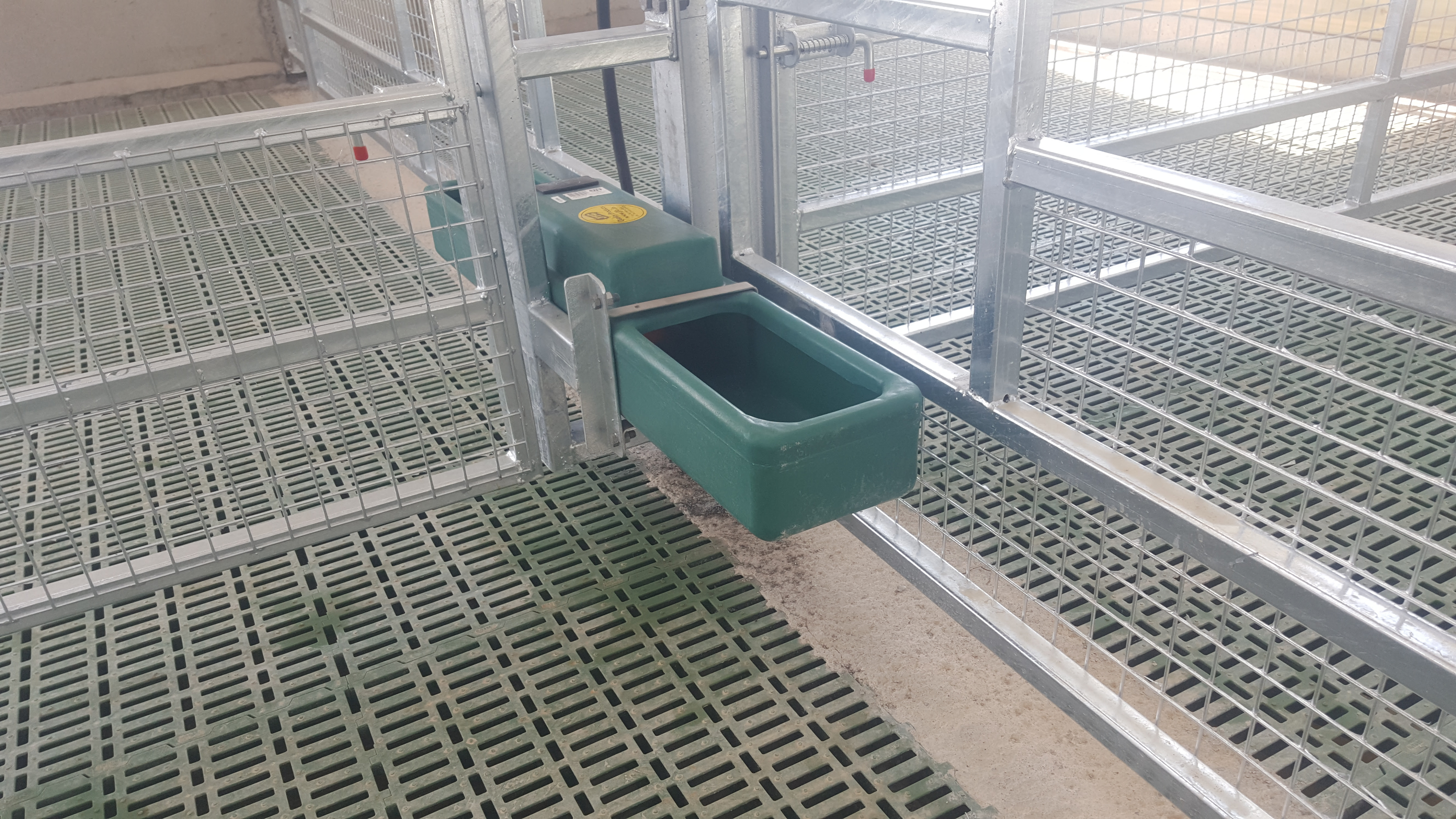 Pics: A sheep shed designed to 'make life easier' during ...