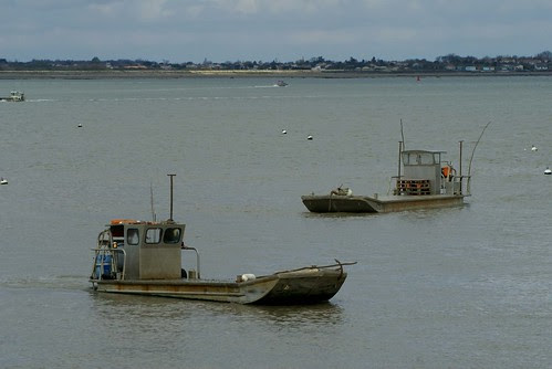 DSC04332