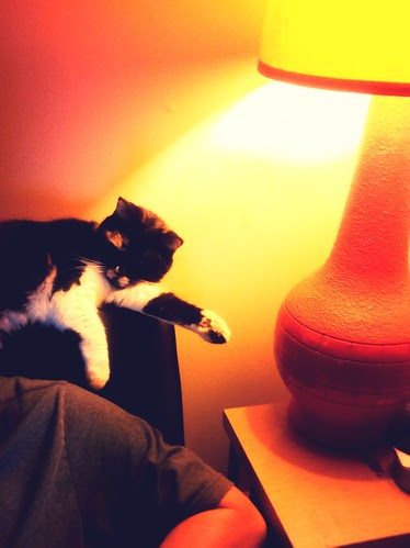 2012-09-044.jpg_effected.jpg