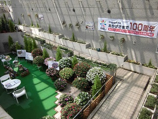 都筑区仲町台に本社があるサカタのタネの グリーンプラザ に行ってきました うちの街 都筑