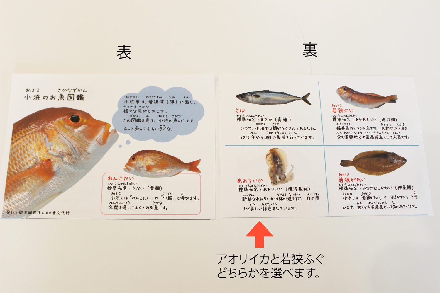 御食国若狭おばま食文化館 魚つりのおもちゃを作ろう
