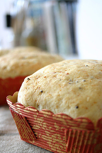 Vintage Cheddar Loaves