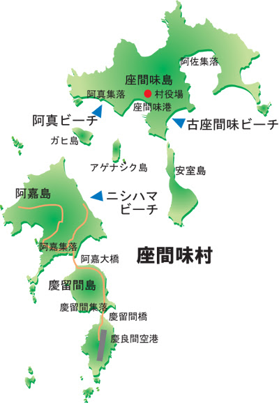 シュノーケリング 座間味村の楽しみ方 座間味村公式webサイト