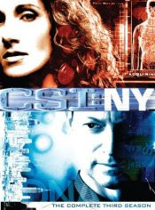 CSI NY: The Complete Third Season