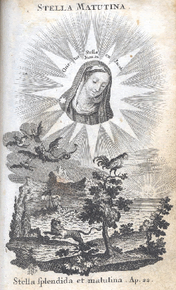 Litany of Loreto ~ Morning Star ~ Rosary