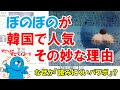 選択した画像 ぼのぼの 韓��� 本 700551