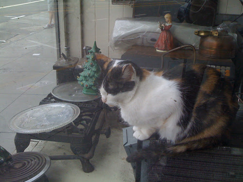 sitting-sideways.jpg