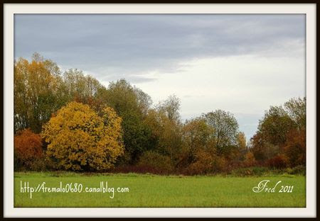 IMG_3023-2-picsignée
