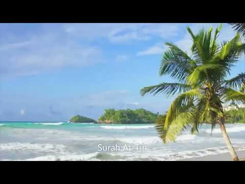 .Surah At-Tin. the ninety-fifth surah of the Holy Qur'an, with 8 ayat or verses.