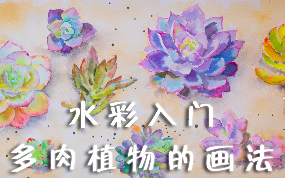 常在水彩30 水彩入门多肉植物的画法 哔哩哔哩 つロ干杯 Bilibili