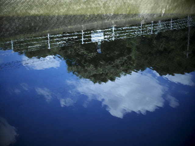 _7250537