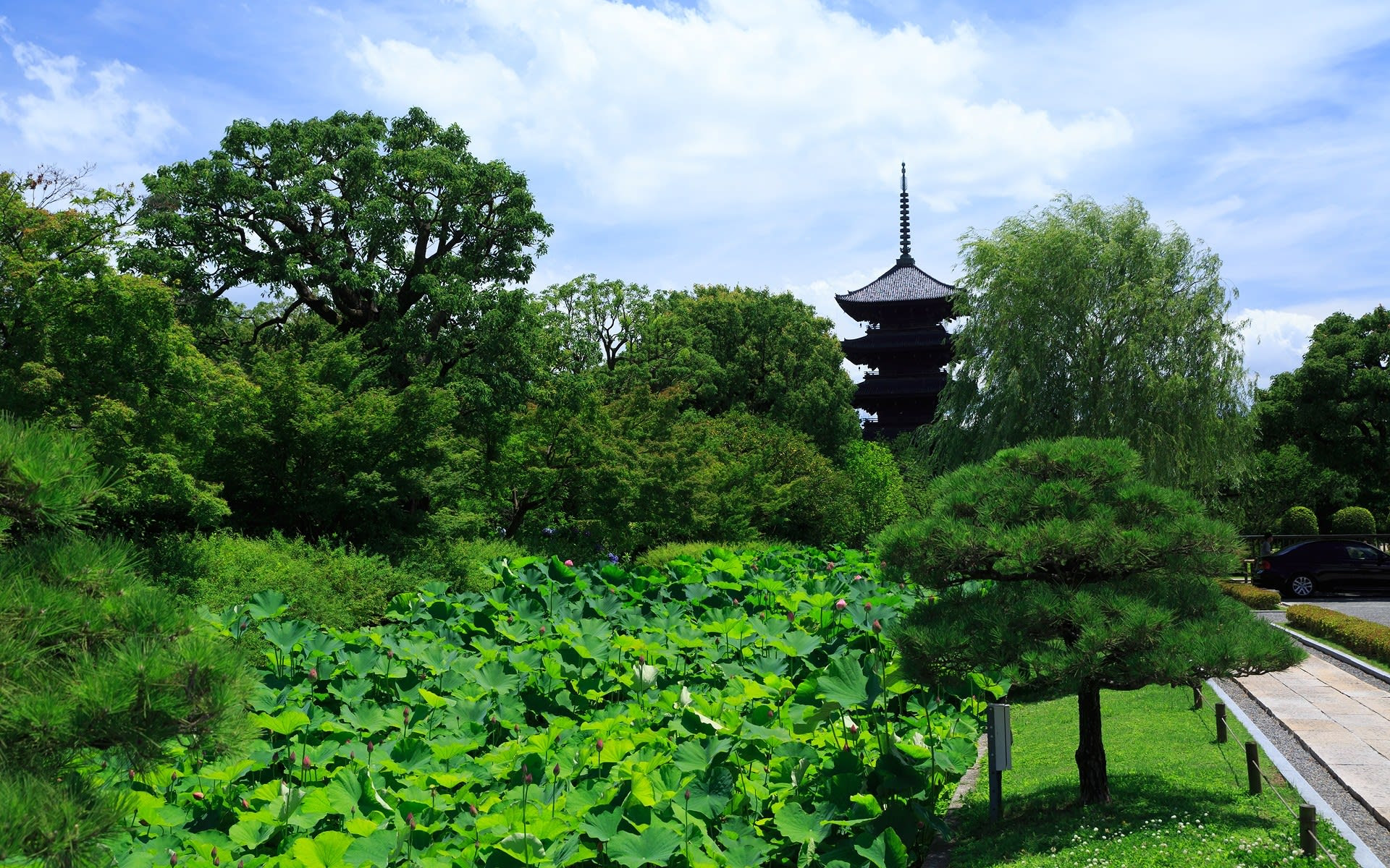 16年夏の京都 東寺の壁紙その1 計10枚 壁紙 日々駄文
