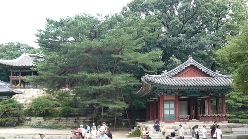P1030630 by you.