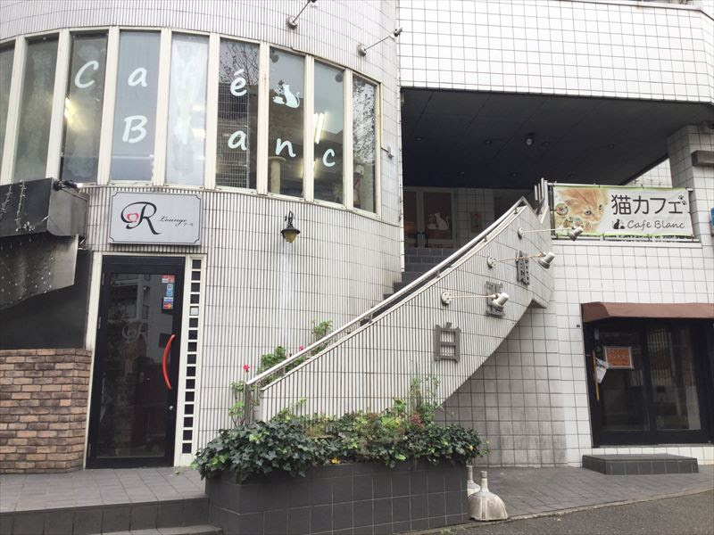 ちばわんホームページ