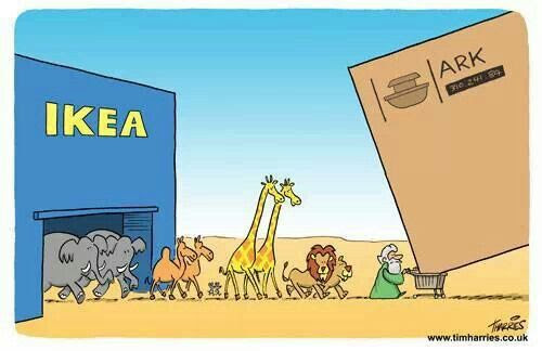 Image result for noah's ark cartoons pictures