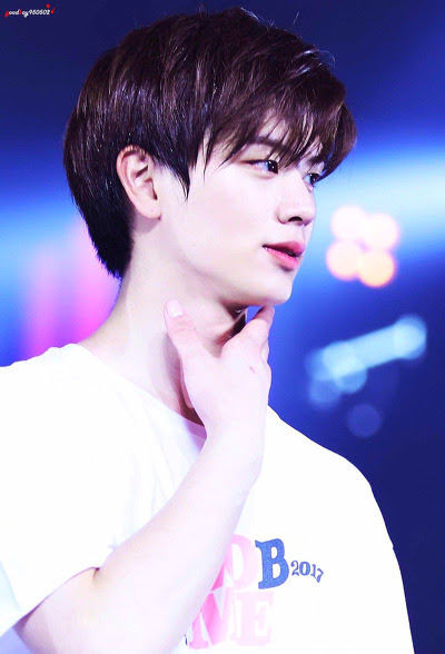 프로듀스 연습생들로 보는 취향 소나무인 소속사들 | 인스티즈