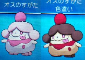色違いに釘付け ペロリーム Xy
