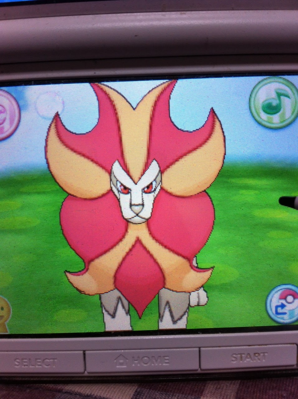 色違いに釘付け カエンジシ Xy