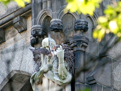 Isolde Leaves the Nest