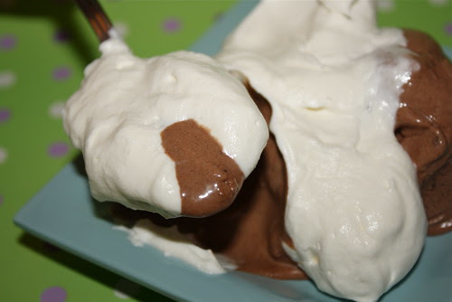 Chocolate Ganache Ice Cream