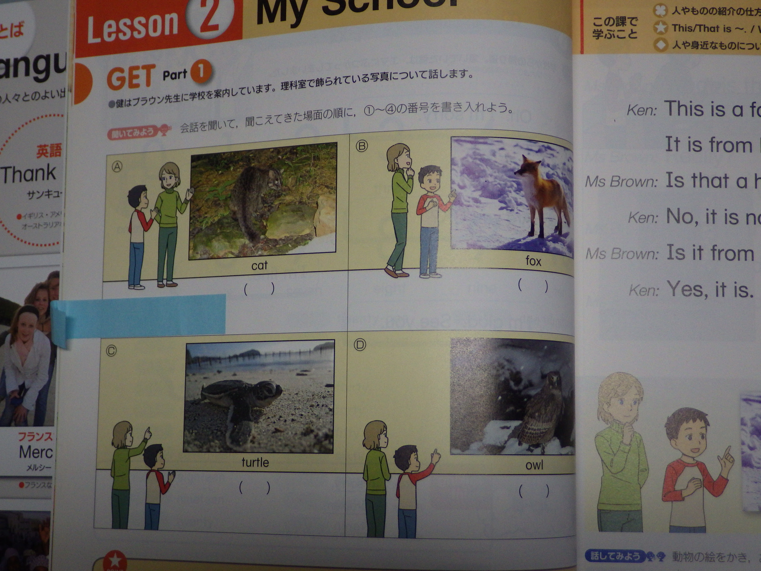 中学英語教科書に小笠原とウミガメ Ogasawara