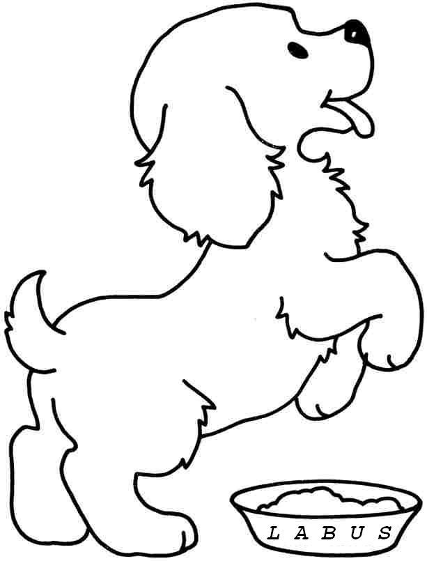 Imagini de colorat pentru copii animale de colorat pisici ...