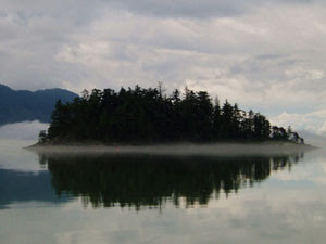 Cove Island