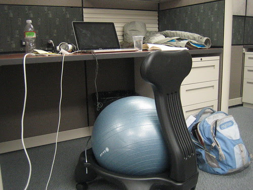 Finding the Perfect Office Chair: Aeron vs. Swiss Ball vs. the ...