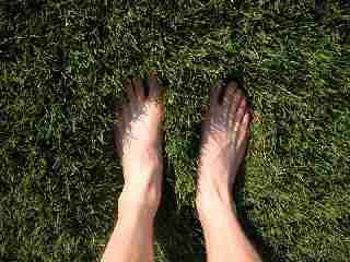 Morville's feet and their implicit semantic connections