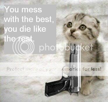 funny animals with guns. Funny animal pics