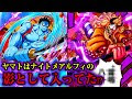 ワンピース さっち 240750-ワンピース サッチ 懸賞金