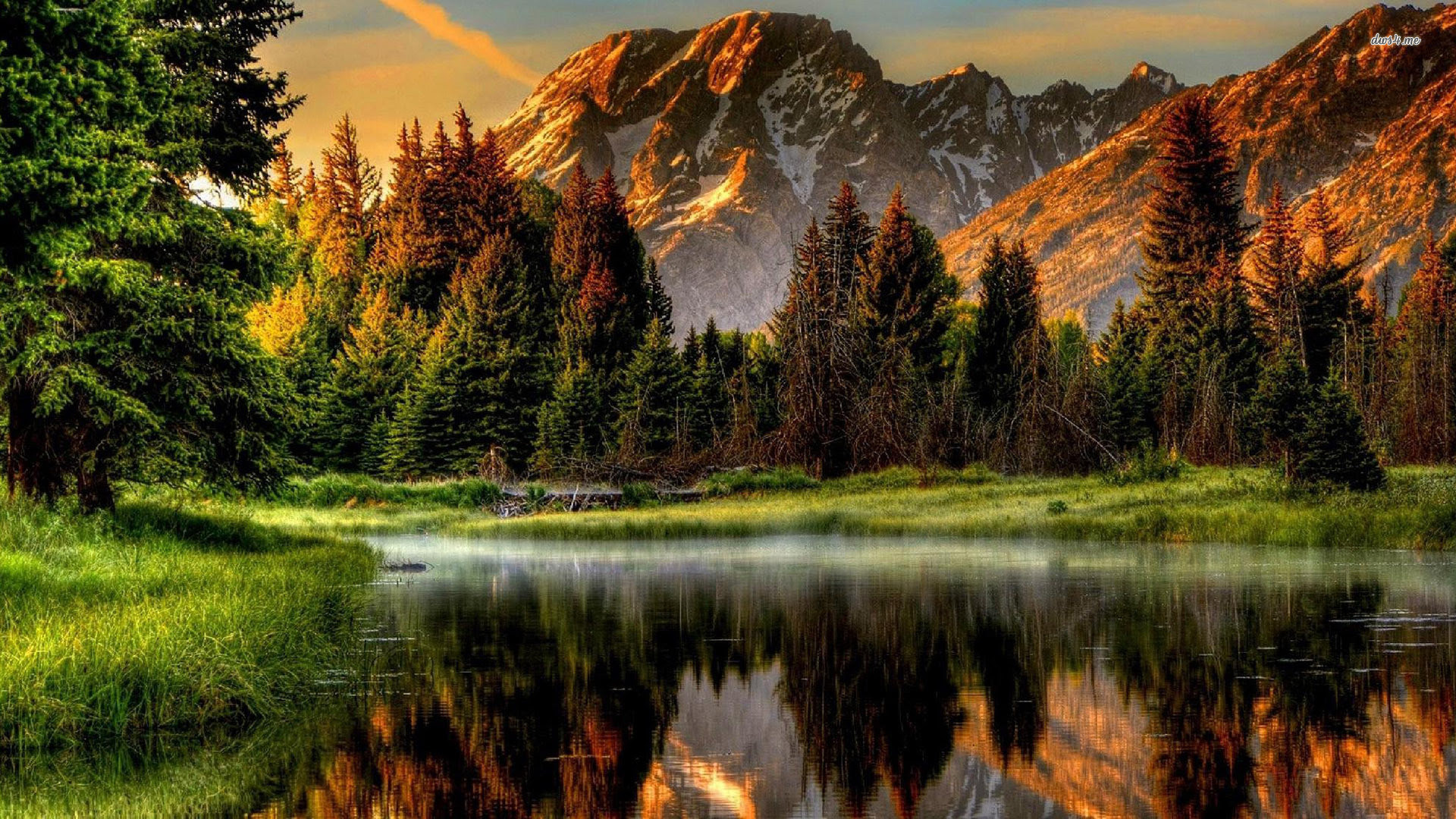 Nexus Desktop Wallpaper Nature 60 images Nexus Desktop Wallpaper Nature 60 images