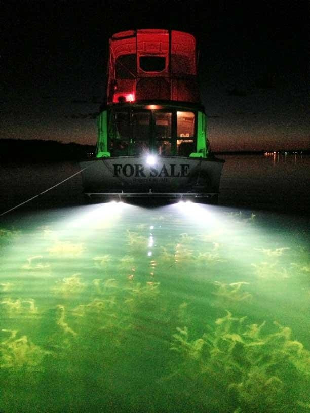 Underwater Thru-Hull (boat) xenon Light - 12-24V 35W55W ...