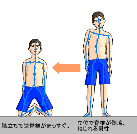 膝立ちの勧め Bodywise S Diary