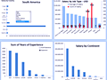Dashboard to visualize Excel Salaries - by Susan Christine McManus - Chandoo.org - Screenshot #01