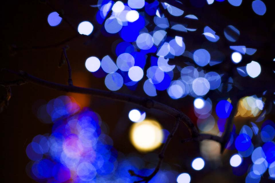 すべての美しい花の画像 ベスト50 壁紙 クリスマス イルミネーション 海外