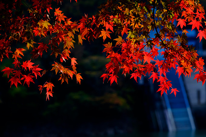 名栗湖 有間渓谷の紅葉18 １ あんぐるエフ