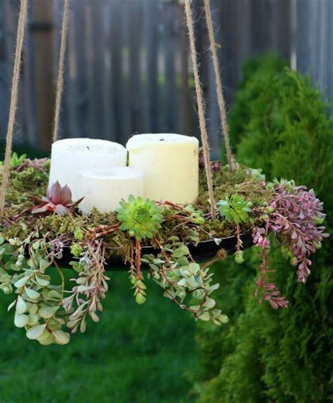 indoor succulent planting ideas beautify